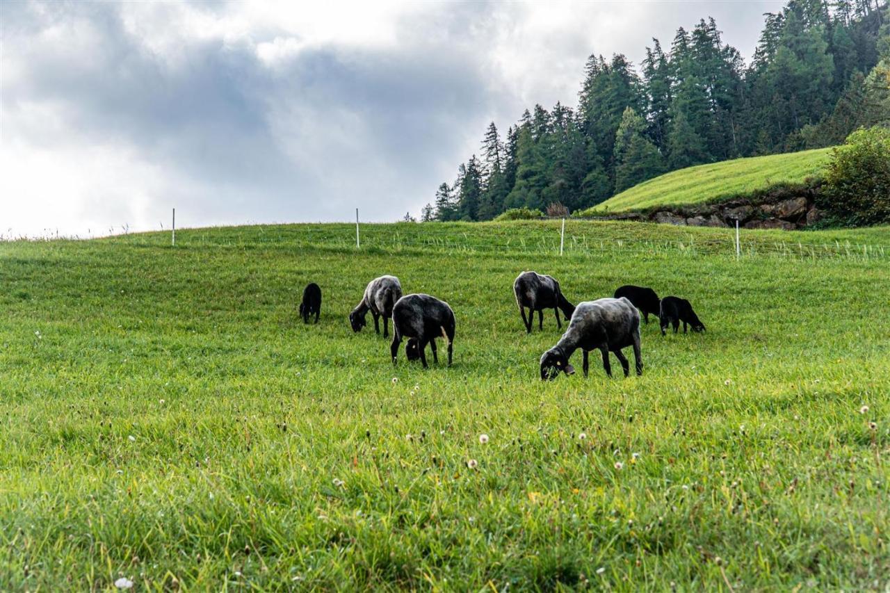 Zoeschgenhof Appartement Matrei in Osttirol Buitenkant foto